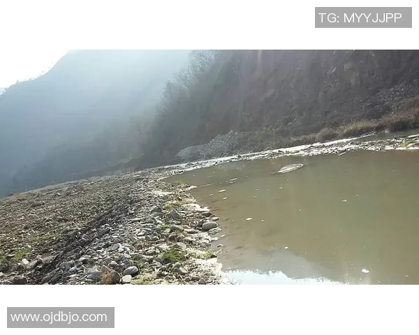 塔帅：咱们这一周心思和身体都阅历了巨大应战，整体是活跃的